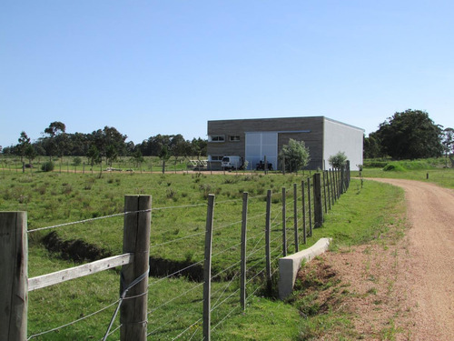 Rancho Daliah