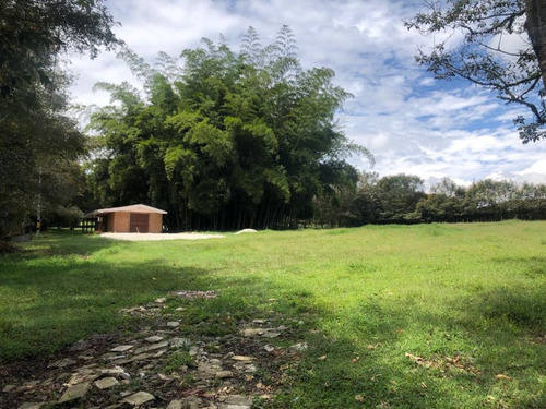 Finca Para Arriendo En Rionegro Sector Via San Antonio Llanogrande (20690).