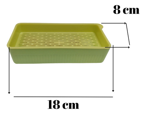 Germinador De Hierva Gatera Maceta Con Semillas Para Katnip
