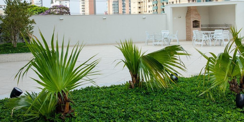 Apartamento Com 2 Dormitórios À Venda, 60 M² Por R$ 447.000,00 - Campestre - Santo André/sp - Ap6085