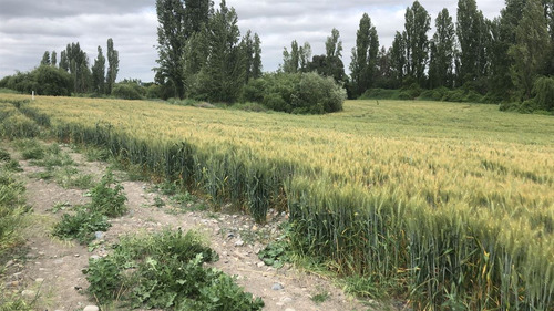 Terreno En Comuna De Retiro, Región Del Maule