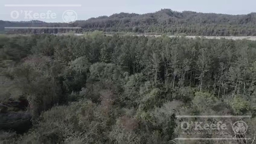 Imagen 7 de 11 de Campo - San Ramon De La Nueva Oran