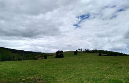 Agrícola Campo O Inmobiliario Loteo En Venta En Panguipulli