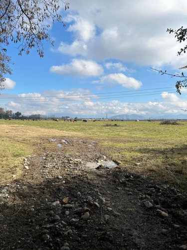 Parcelas En Venta Camino Santa Margarita La Compañia