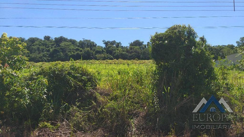Chácara À Venda, 5060 M² Por R$ 320.000,00 - Rec Alvorada Ii - Ibiporã/pr - Ch0169