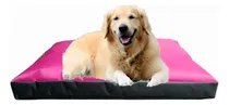 Comprar Colchones Para Perros Grandes O Medianos 90x60x12