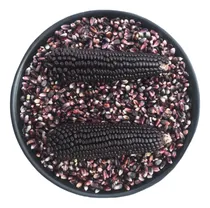 Comprar 25 Kg Maíz Rojo Y 5 Kg Maíz Negro De Oaxaca Para Alta Cocina