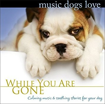 Música Perros Amor: Mientras Se Han Ido