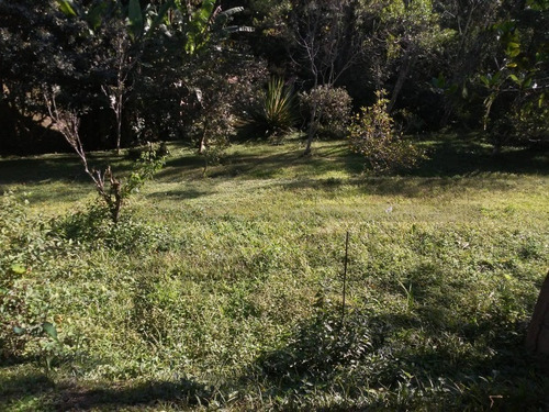 Imagem 12 de 23 de Chácara À Venda Em Juquitiba - 317 - 69514098