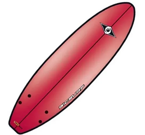 Tabla De Surf 5 6 Chicos Bic Sports Tahe Twin G boards 168cm