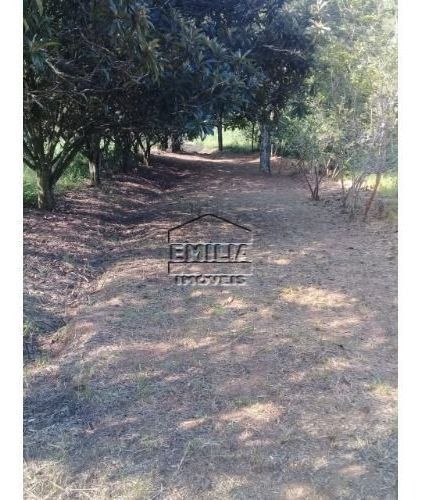Chácara - Estancia São Paulo- Campo Limpo Paulista/sp
