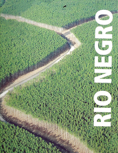 Rio Negro - Todo El Departamento En Una Revista 96 Paginas