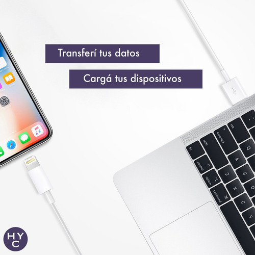 Imagen 3 de 10 de Cargador 2 Usb + Cable Lightning Compatible iPhone iPad 2.4a
