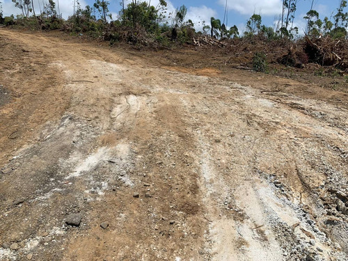 Imagem 5 de 12 de 06-lotes Para Chacara Na Região De Mogi Das Cruzes