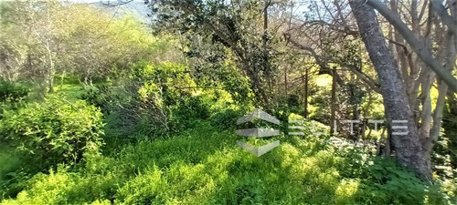 Agrícola En Venta En Olmué