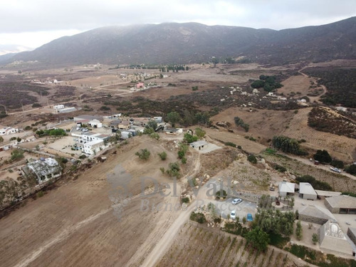 Imagen 8 de 18 de 3 Hectáreas En Valle De Guadalupe A Un Lado De Clos De Tres
