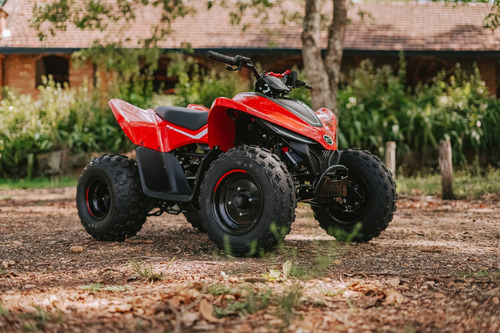 Quadriciclo Infantil Cforce 110lv