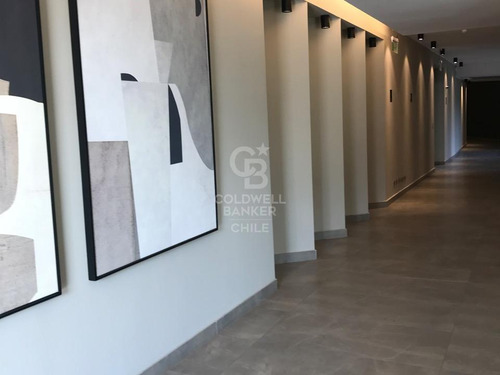 Estudio De Diseño Vanguardista En Los Leones