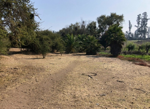 Venta Parcela 1 Hect.con Casa Codigua Melipilla $110.000.000