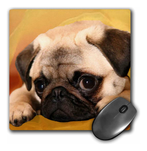 Alfombrilla De Raton 3drose Llc, 8 X 8 X 0.25 Pulgadas, Pug