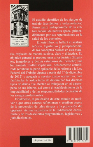 Riesgos De Trabajo Allier Campuzano Jaime Editorial Porrúa
