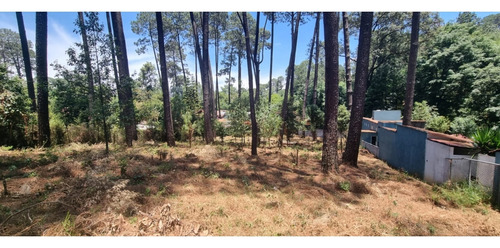 Terreno En Venta, Zona Avandaro