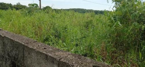 Imagem 3 de 3 de 7859 | Terreno No Jd Guacira, Com 476 M², Em Itanhaém