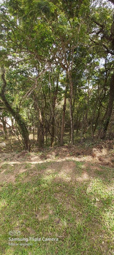 Imagem 2 de 4 de Ester Imóveis Negócios Imobiliários - Vende - Creci: 180319-f - Te00030 - 68729511