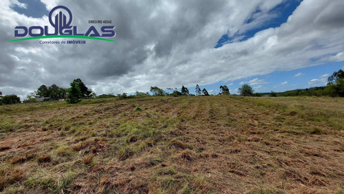 Imagem 10 de 15 de 4 Hectares Ótima Localização - 1714