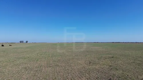 Campo Mixto Noetinger 110 Ha - foto 1