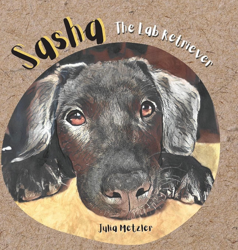 Libro: En Ingles Sasha The Lab Retriever