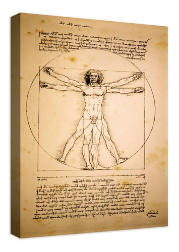 Cuadro Moderno Lienzo Canvas Hombre De Vitruvio Da Vinci