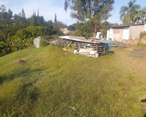Imagem 5 de 6 de Terreno - Te01106 - 69662927