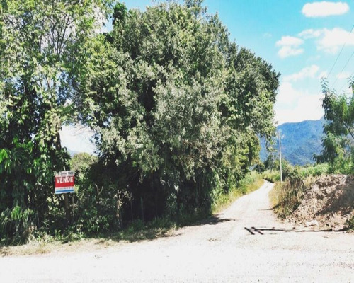 Imagem 14 de 18 de Terreno Em Santa Cândida - 200 - 34209886