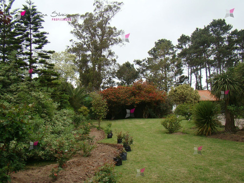 Casa En Golf, 4 Dormitorios *- Ref: 7419