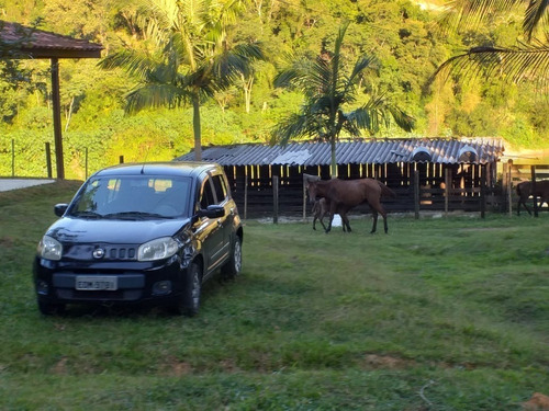 Imagem 3 de 15 de Sítio De 11 Alqueires-bairro Povo Grande- Iporanga-sp
