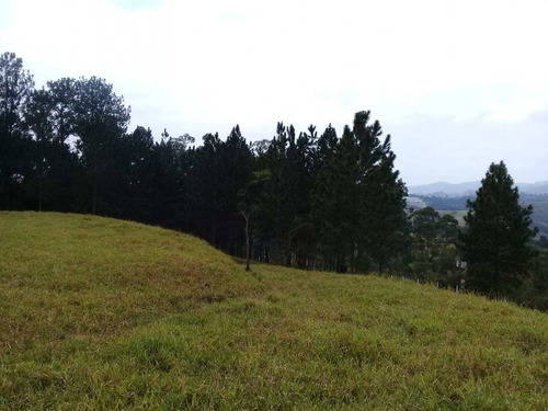 Imagem 6 de 18 de Terreno, Voturuna, Santana De Parnaíba - R$ 1.2 Mi, Cod: 235623 - V235623