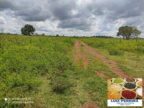 Imagem 14 de 15 de Fazenda Á Venda Em Cristalândia 503.36 Hectares (dupla Aptidão) - 1628