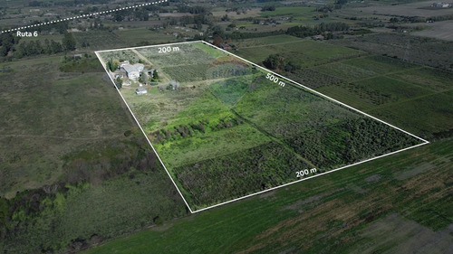 Venta Bodega O Deposito 10 Hectareas, Toledo Chico