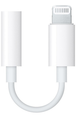 Adaptador Convertidor Entrada Lightning Salida Plug Ramitech