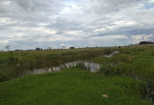 Venta De Campo Ganadero Agrícola Ruta 7 Km328