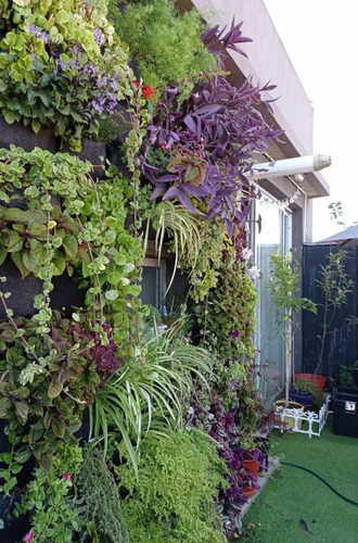 Imagen 6 de 6 de Jardín Vertical Paredeco Con Plantas Jv15-3-5