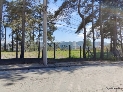 Imagem 4 de 4 de Terreno Para Aluguel, 12000.0 M2, Jardim Magali - Embu Das Artes - 24481