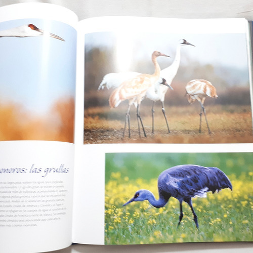 Libro - Animales De América: Migraciones Y Grandes Concentra (Usado)