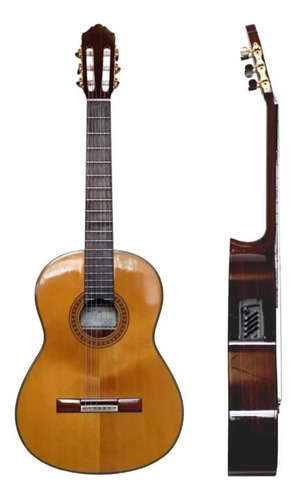 Guitarra Erasmo Falcon