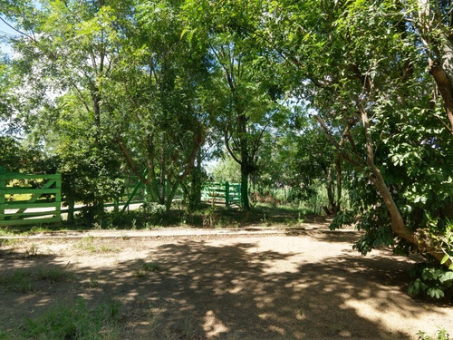 Chácara 10.000 M² - Maracanã - Glorinha - Rs - 2015 - 33422751