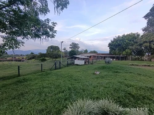 Vendo Finca En Otramina En Titiribí Suroeste Antioqueño De 2 Cuadras Topografía Plana