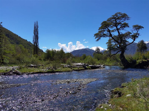Terreno 7.000 M2 Orilla De Río, Caracoles, Malalcahuello