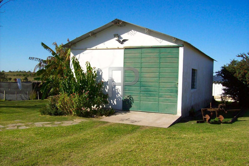 Imagen 5 de 7 de Chacra En Venta Chacras De Paysandu 3 Dorm, 3.7 Has #1639