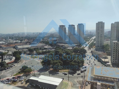 Imagem 7 de 7 de Sala - Sa00185 - 69549460
